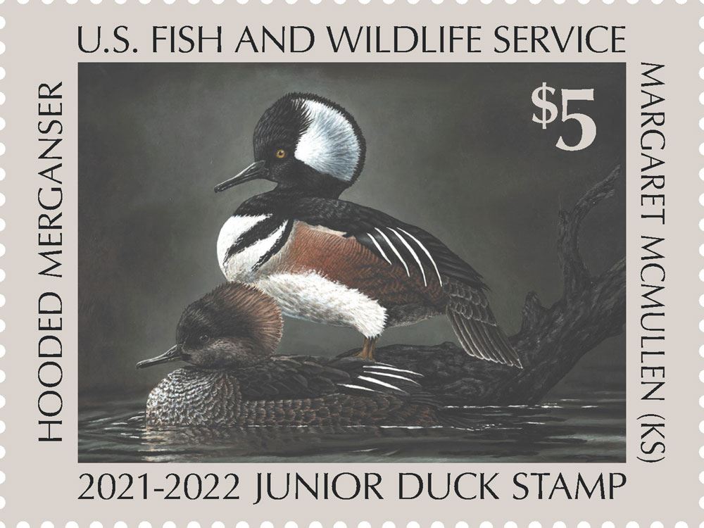 2021-2022 Junior Duck Stamp art winner by Margaret McMullen of Kansas