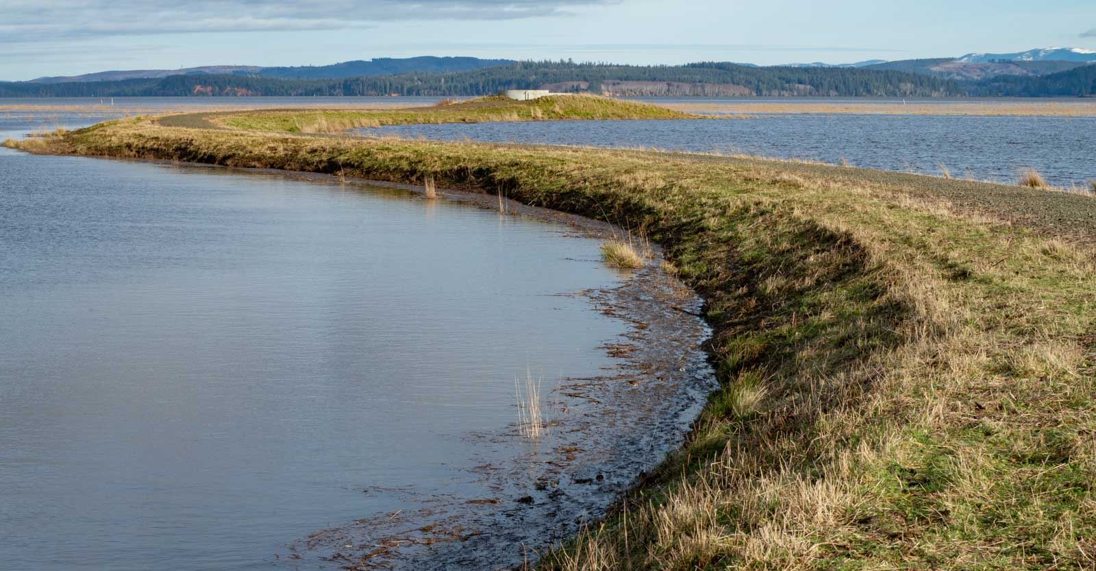 South Willapa Bay Trails and New Overlook project 